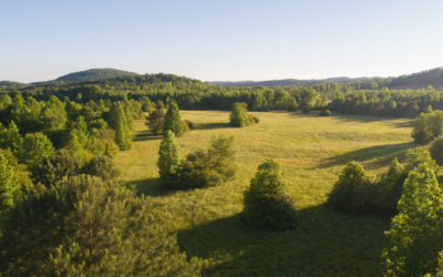 Land for sale tennessee