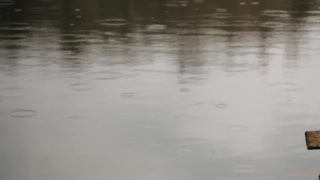 Wake up to water, end the day by the fire, repeat.

Tucked on 5+ acres, this mountaintop lake home offers rustic charm, outdoor living, and proximity to the Scenic City. 

🌲 9963 Huckleberry Ln, Soddy Daisy, TN
See more at ToddHenon.com